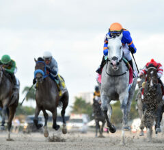 2022 Florida Derby Preview, FREE Picks, & Longshots | White Abarrio, Simplification Set For Rematch