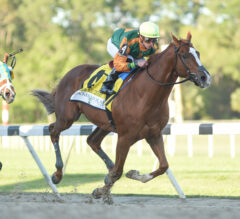 2022 Tampa Bay Derby Replay & Reaction | Classic Causeway Gate To Wire; Keeneland Next?
