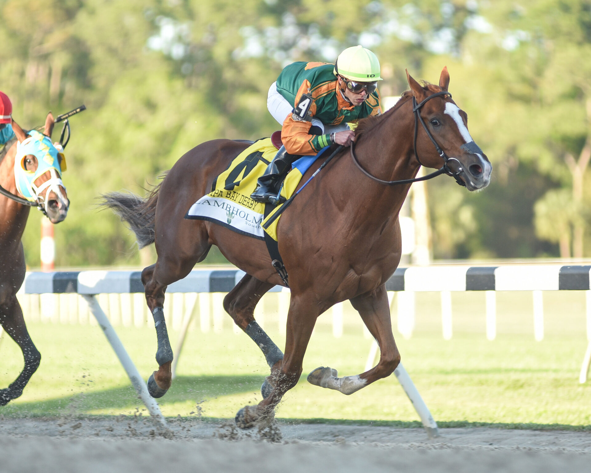 2022 Tampa Bay Derby Replay & Reaction Classic Causeway Gate To Wire