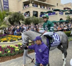 Commandperformance LOSES Maiden Special Weight; What’s Next For Pletcher Trainee?