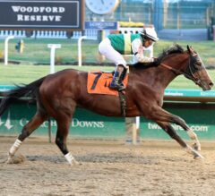 Can Gilded Age Get Up In Time For The Upset? | 2022 Travers Stakes Contenders, Preview, Picks