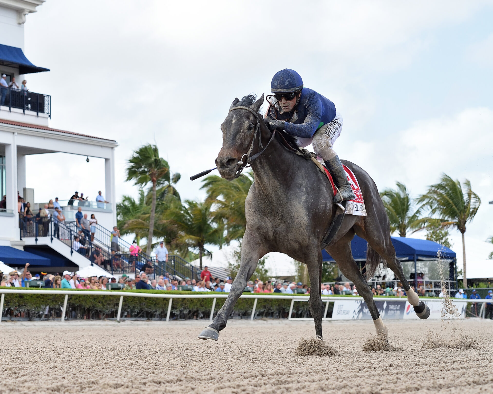 Gulfstream Picks Racing Dudes - idjd9ux