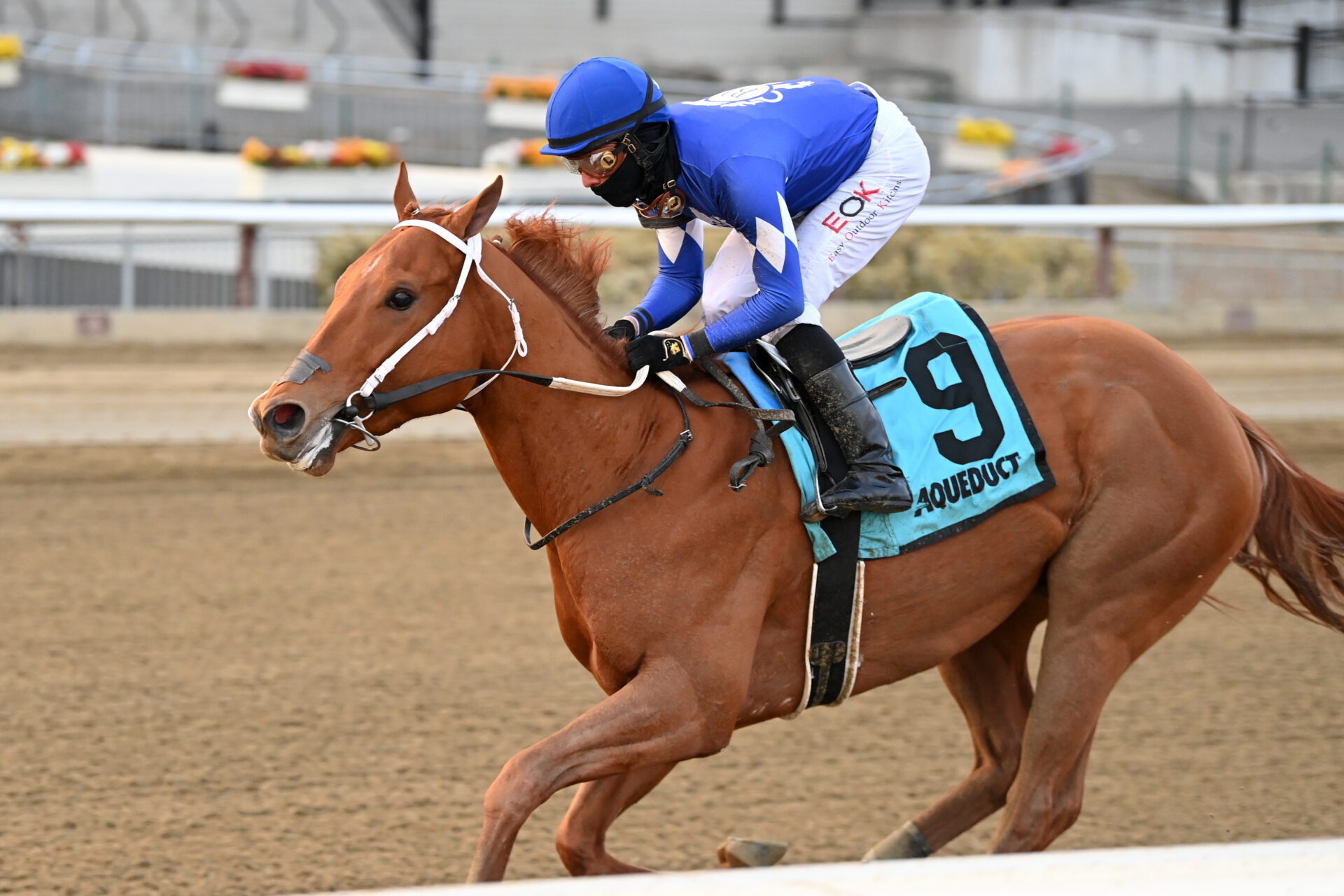 How To Pick The 2022 Kentucky Derby Winner Racing Dud vrogue.co