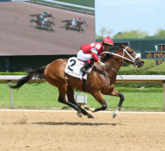 2022 Apple Blossom Handicap Replay & Reaction | Letruska Repeats; Clairiere, Ce Ce Close Behind