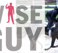 2022 Kentucky Derby | Most Overbet & Wise Guy Horses