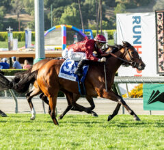 Ocean Road Delivers MAJOR Score | 2022 Gamely Stakes Replay & Reaction