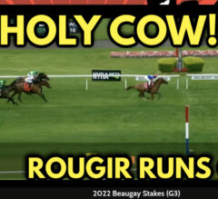 2022 Beaugay Stakes Replay & Reaction | Rougir DESTROYS Rivals For New Trainer Brown
