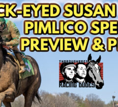 Racing Dudes LIVE: Black-Eyed Susan Stakes & Pimlico Special Preview, Picks, & Coverage