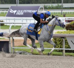 Pegasus World Cup 2023: Cyberknife, White Abarrio, Proxy Among 8 Grade 1 Champions Invited To Race
