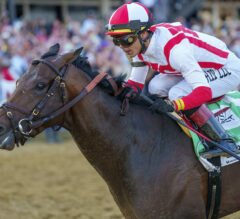 Early Voting’s Road To Victory [2022 Preakness Stakes]