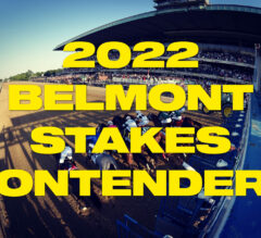 2022 Belmont Stakes Contenders | Who’s Running? Early Preview, Win Picks, & Longshots