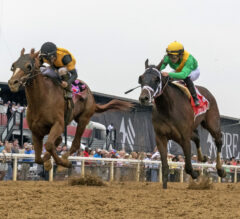 First Captain NAILS Vindictive Late | 2022 Pimlico Special Stakes Replay & Reaction
