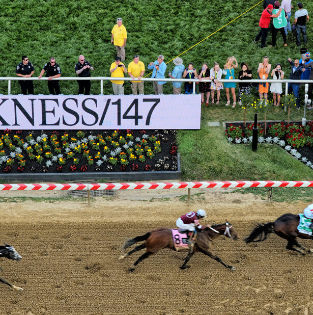 Horse Racing Handicapping Horse Betting Tips, Terms, and Picks