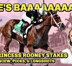 Breeders’ Cup Champ Ce Ce Returns To Gulfstream | 2022 Princess Rooney Stakes Preview, FREE Picks, & Longshots