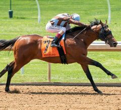 No Nay Hudson, Love Reigns Tough For Ward | 2022 Indian Summer Stakes Preview & FREE Picks