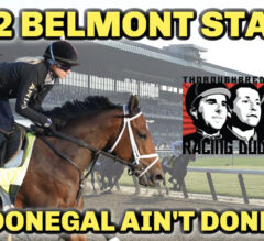Mo Donegal Should LOVE Mo Distance In 2022 Belmont Stakes | Contenders, Picks, & Longshots