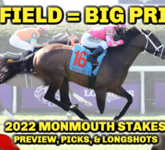 Chad Brown Aims For 6th Straight W | 2022 Monmouth Stakes Preview, FREE Picks, & Longshots