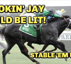 Is Smokin’ Jay A SNEAKY Longshot Next Race? | Stable Em Up #4