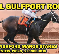 Will Gulfport ROMP Again? | 2022 Bashford Manor Stakes Preview, FREE Picks, & Longshots