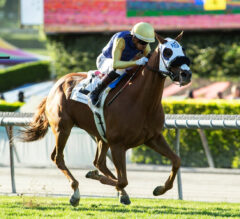 D’Amato Barn LOADED For Del Mar Turf Feature | 2022 Eddie Read Stakes Preview & FREE Picks