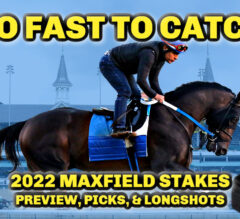 Gunite Gonna Go Gate To Wire? | 2022 Maxfield Stakes Preview, FREE Picks, & Longshots