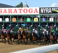 Southern District Favored In Saratoga Feature | 2022 Tale Of The Cat Stakes Preview & FREE Picks