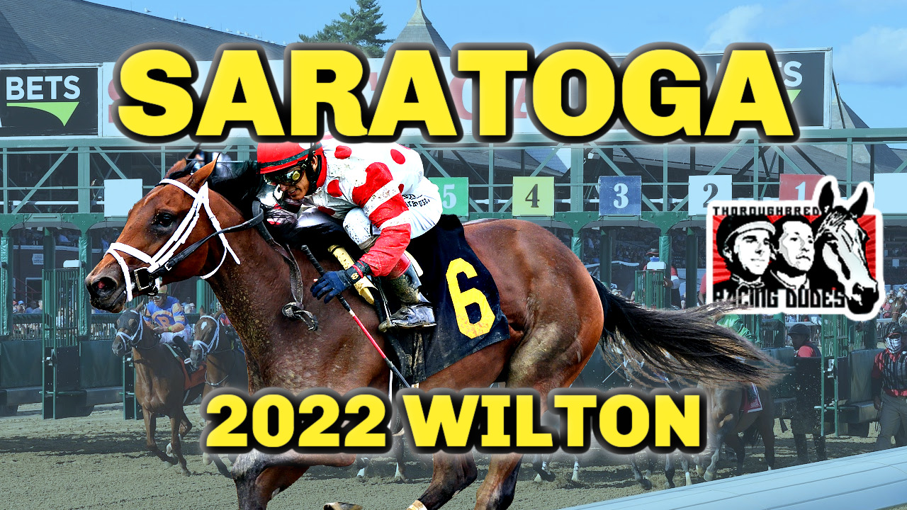 Saratoga Returns To Wilson Chute For New Race 2022 Wilton Stakes