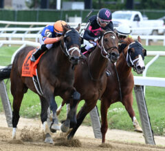 Fearless, Lone Rock Bring Rivalry To Saratoga | 2022 Birdstone Stakes Preview & FREE Picks