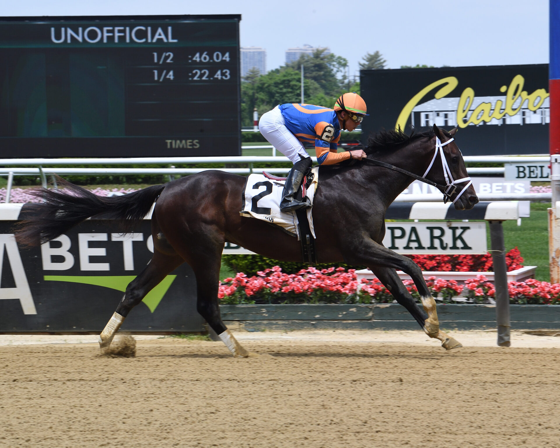 Kentucky Derby Prep Races and Possible Starters Racing Dudes