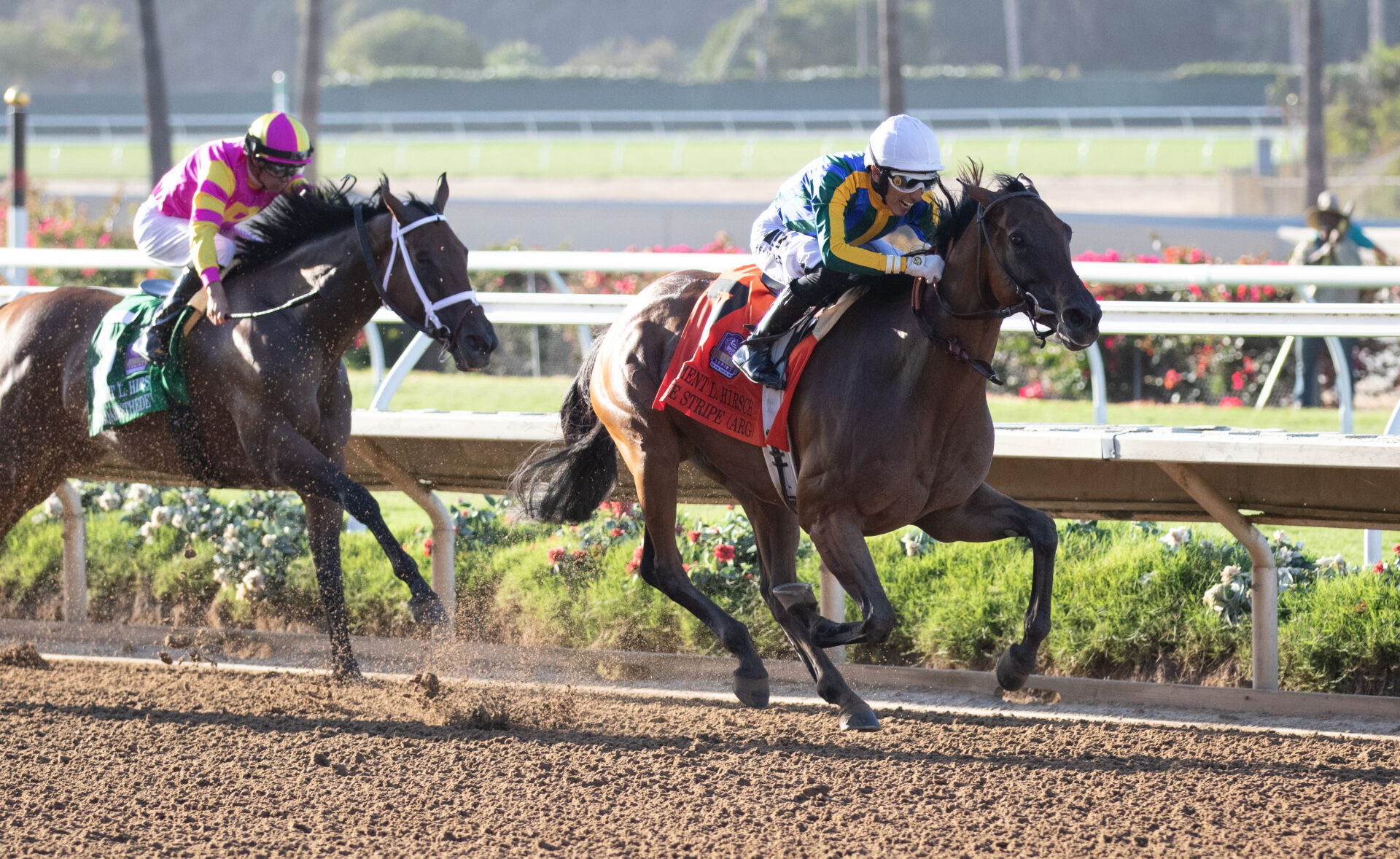 Blue Stripe TRIUMPHS, Earns Breeders' Cup Distaff Spot | 2022