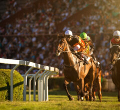 Biggest Horse Races Around the World to Bet on