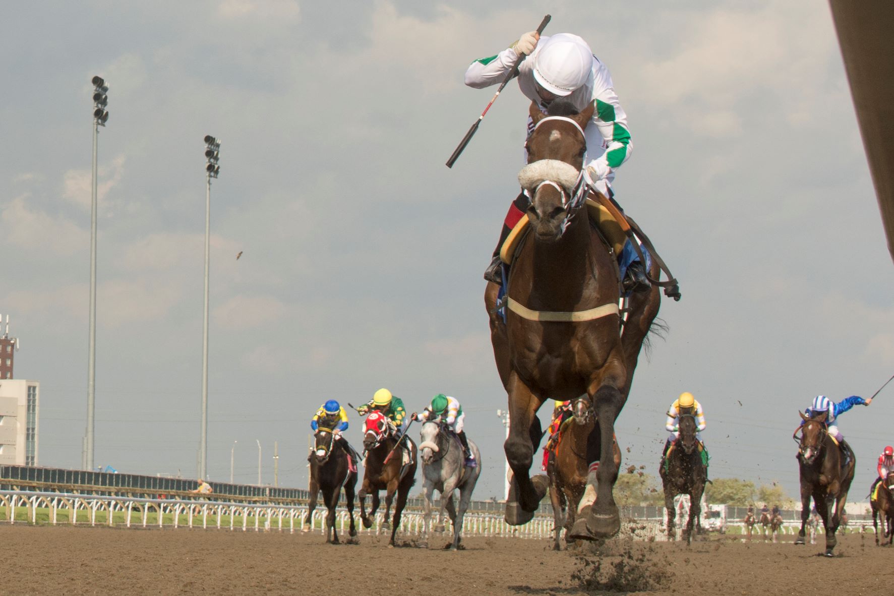 2022 Steady Growth Stakes Preview & FREE Picks Woodbine Ends Meet