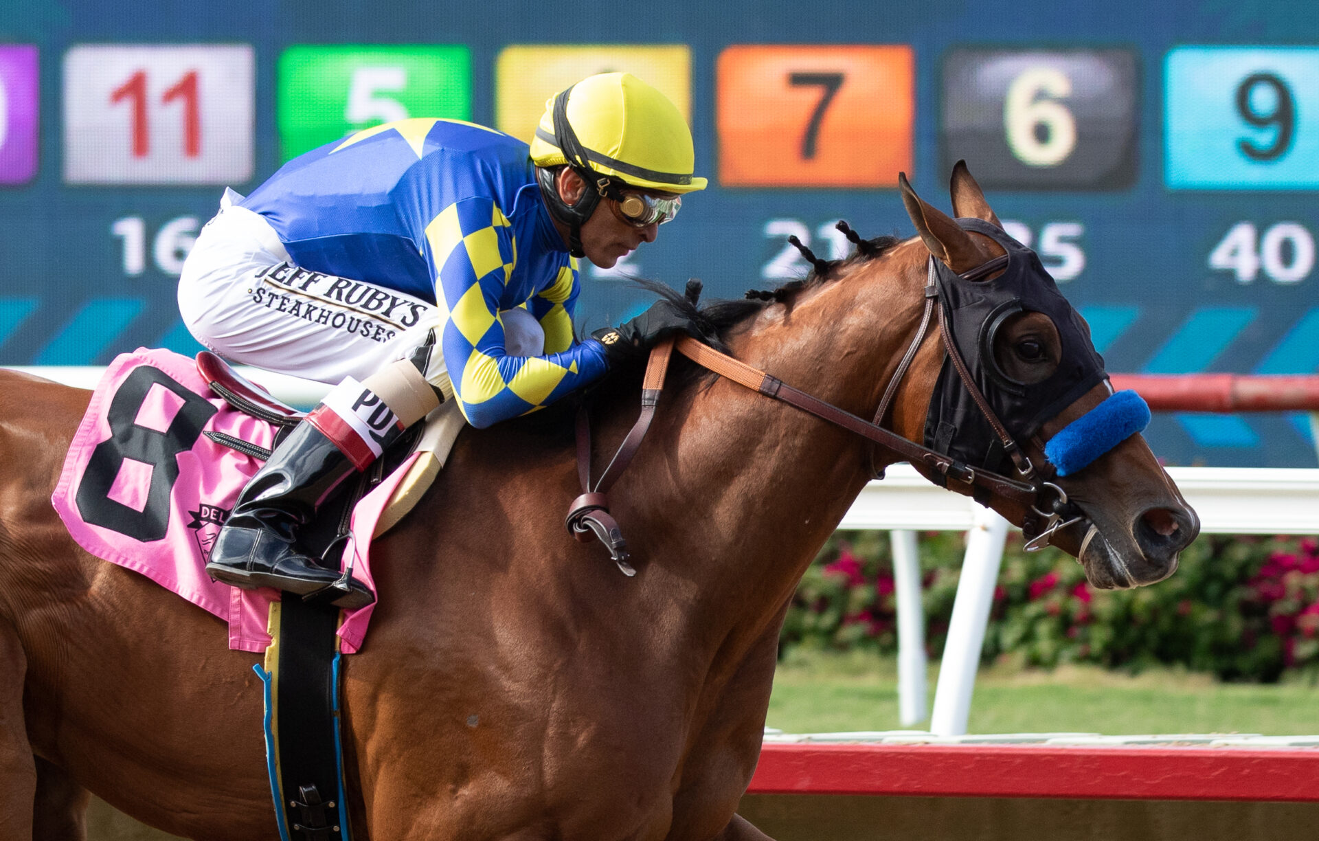 2023 Robert B. Lewis Stakes Preview & FREE Picks Baffert Enters All 4