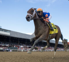 Nest Posts Another Dominating Victory At Saratoga | 2022 Alabama Stakes Replay & Reaction