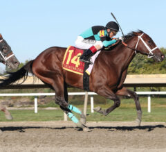 2022 Steel Valley Sprint Stakes Preview & FREE Picks | Scaramouche Could Roll In Mahoning Valley Feature