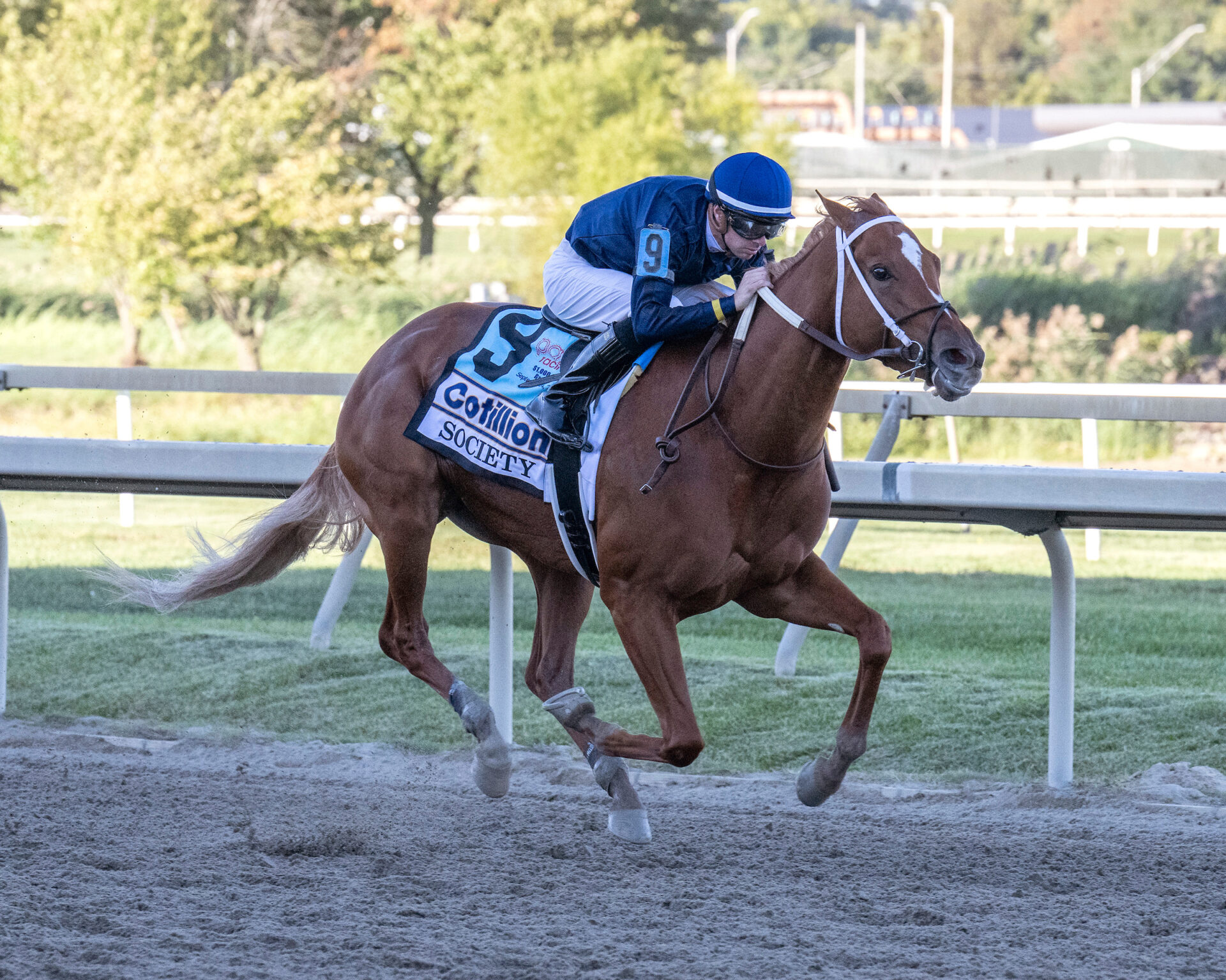 Society Breaks Sharp, Leads All The Way For Parx Win 2022 Cotillion