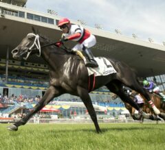 Cairo Consort Favored In Breeders’ Cup Prep At Woodbine | 2022 Natalma Stakes Preview & FREE Picks