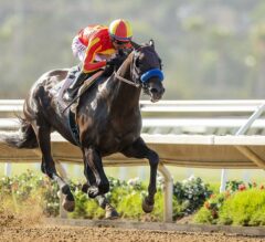 Cave Rock Ready To Make More Waves For Bob Baffert | 2022 Del Mar Futurity Preview & FREE Picks
