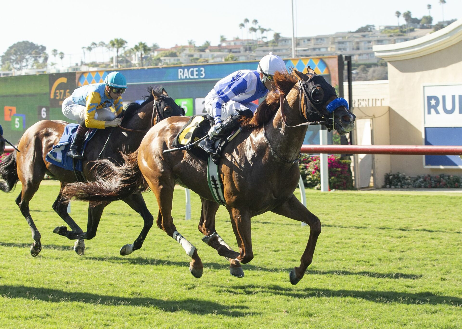 Field Of 11 Chasing The 'Key To Breeders' Cup 2022 Green Flash