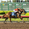 2023 Sunland Park Derby Preview & FREE Picks | Baffert Looks For Record 4th Win With Hard To Figure