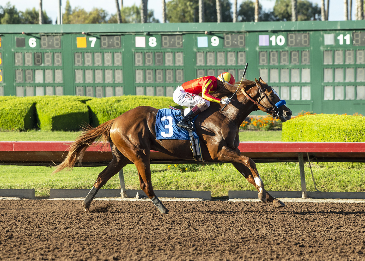 2023 Sunland Park Derby Preview & FREE Picks Baffert Looks For Record