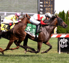 In A Hurry Goes For 2nd Straight Gate To Wire Win | 2022 Athenia Stakes Preview & FREE Picks