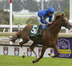 Modern Games Looks Like A Standout Once Again | Top 5 Breeders’ Cup Mile Horses