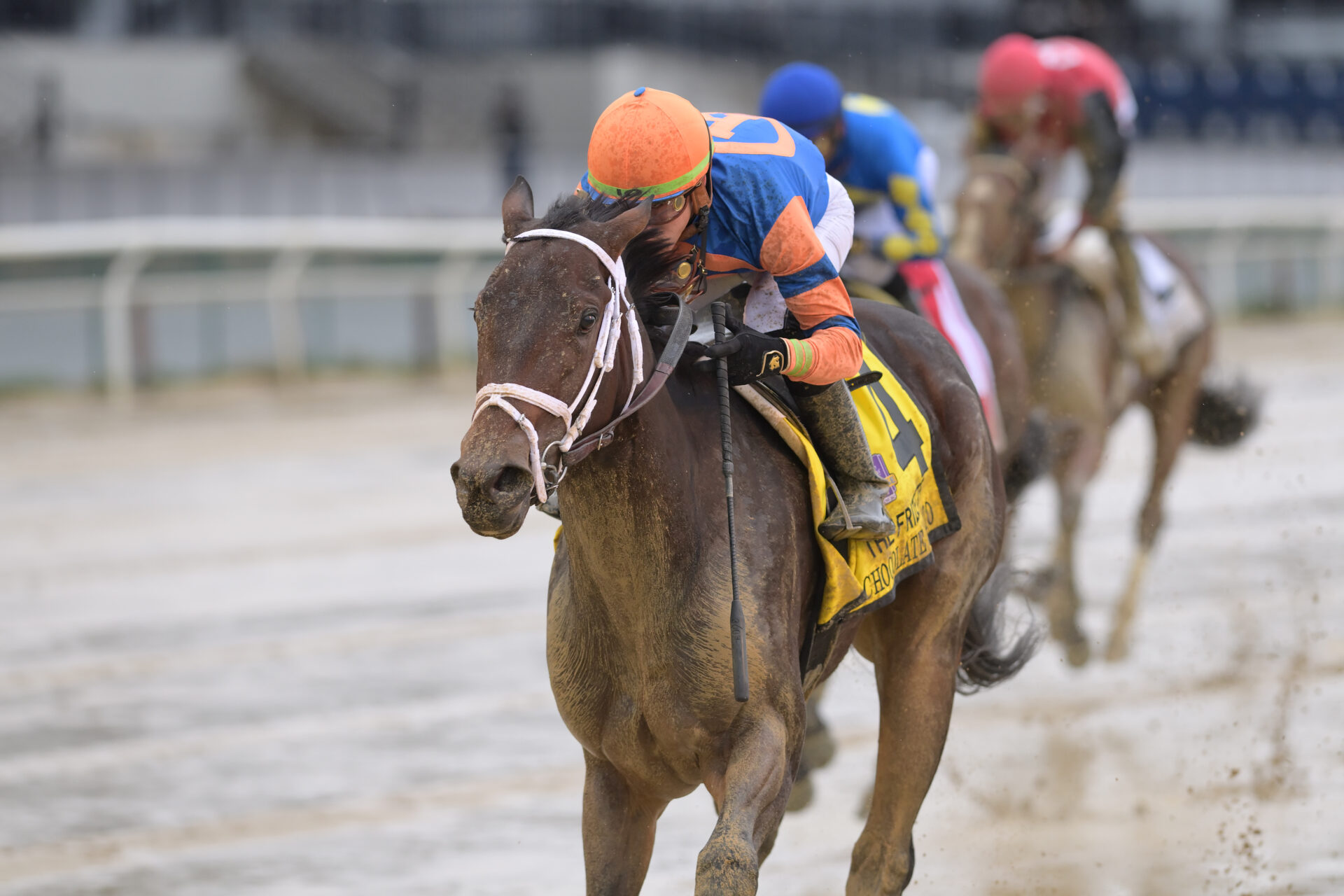 Chocolate Gelato Makes The Grade In The Slop 2022 Frizette Stakes