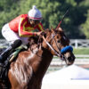 2023 Awesome Again Stakes Preview & FREE Picks | Defunded To Defend Title In Classic Prep