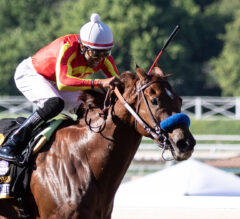 2022 Native Diver Stakes Preview & FREE Picks | Will Defunded Get Fried As Short Favorite?