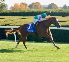 Delight Makes Every Pole A Winning One At Keeneland | 2022 Jessamine Stakes Replay & Reaction