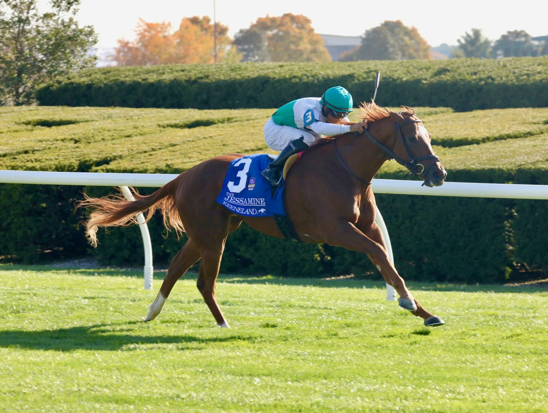 Delight Makes Every Pole A Winning One At Keeneland 2022 Jessamine