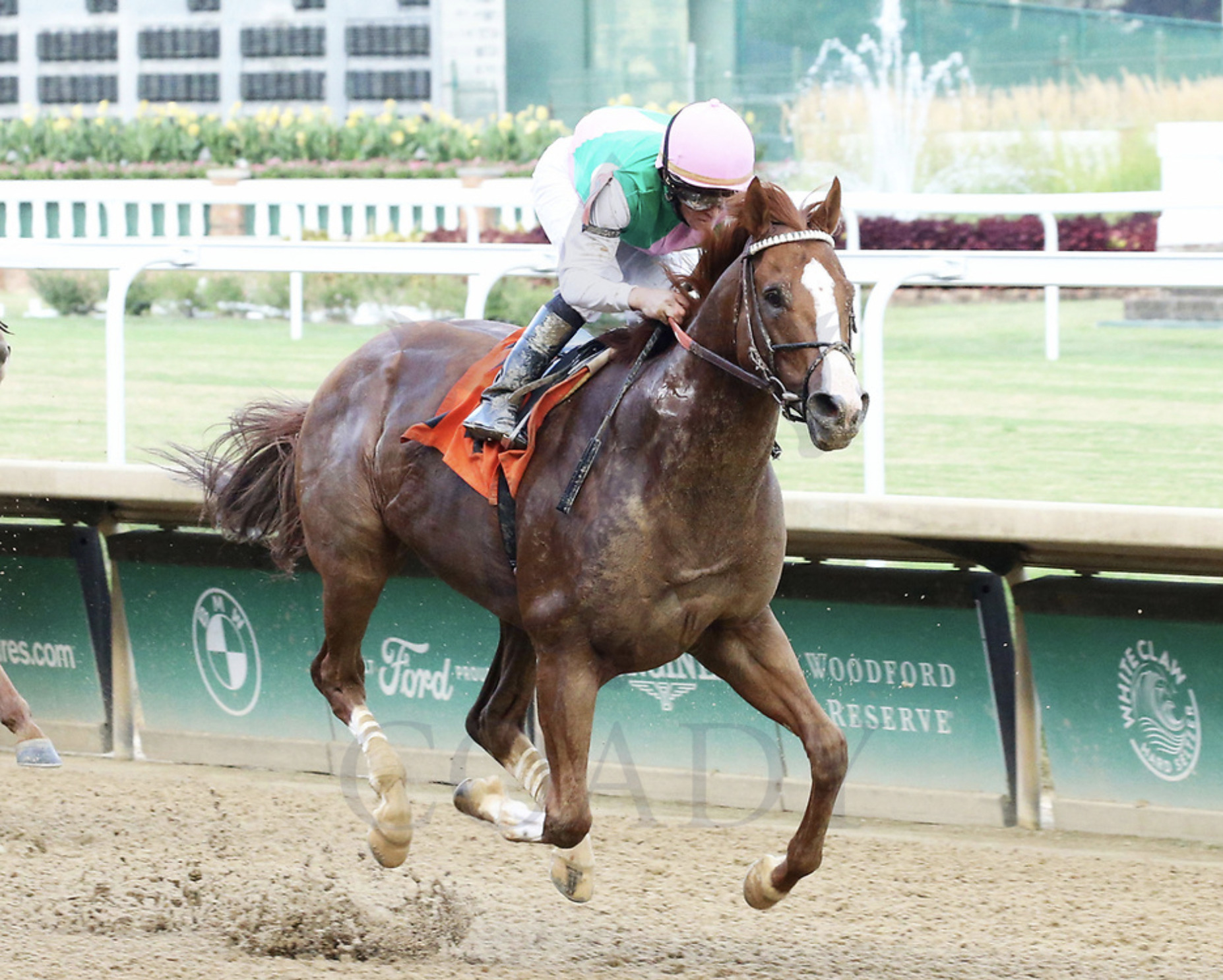 Elite Power's Improving Form Stands Out In Short Field 2022 Vosburgh