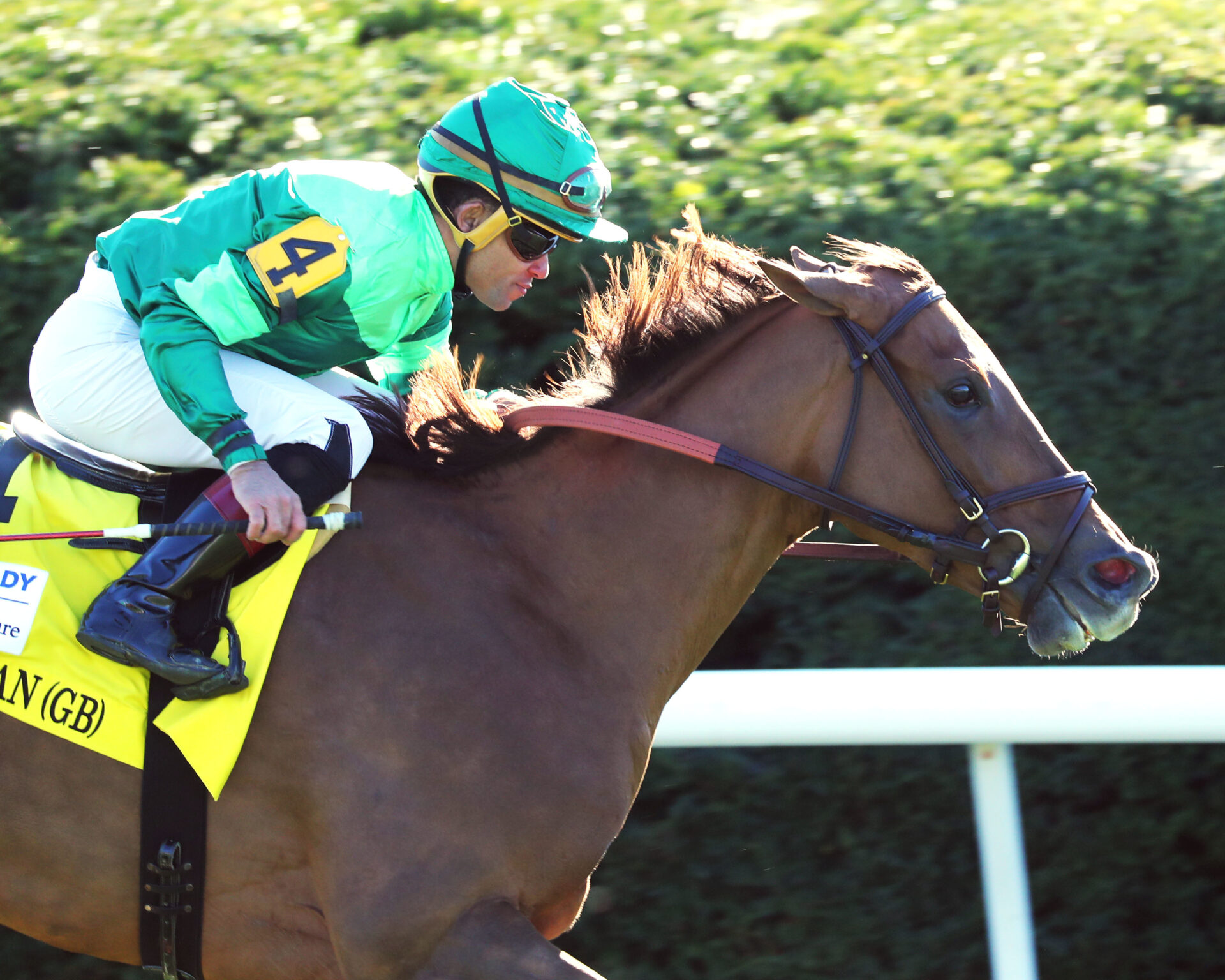 2023 Jenny Wiley Stakes Preview & FREE Picks In Italian Starts Season